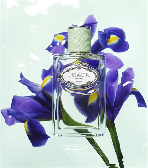 prada infusion d'iris dupe|prada infusion d'iris 100ml.